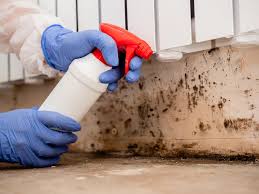 Best Residential Mold Inspection & Testing  in Pasadena, CA